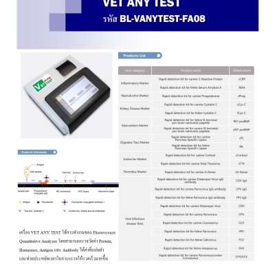 VET ANY TEST