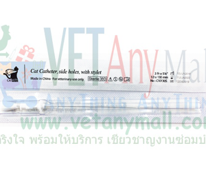 Dog Catheter