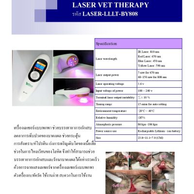 LASER VET THERAPY