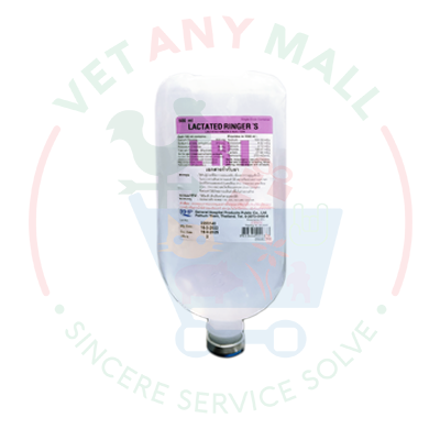 Lactate Ringers 500 cc Injection