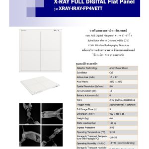 X-RAYS FULL DIGITAL Flat Panel