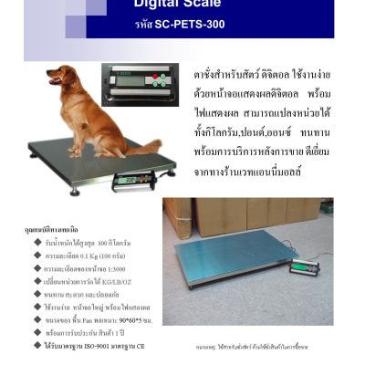 DIGITAL SCALE
